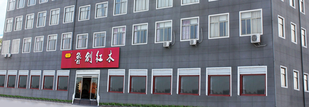公司簡介